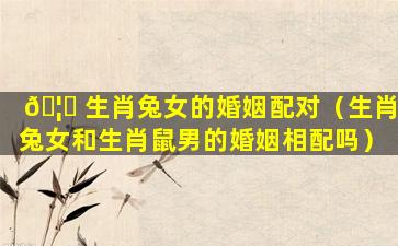 🦆 生肖兔女的婚姻配对（生肖兔女和生肖鼠男的婚姻相配吗）
